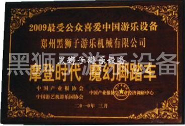 2009最受公眾喜愛的中國游樂設備